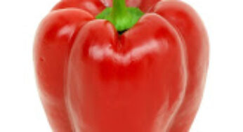 Red Pepper Paste – the Armenian secret ingredient!
