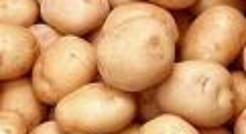 Know your potatoes