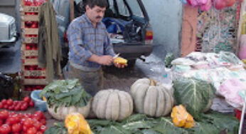 Cuisine Information Request: Adapazari and Kungular. Can Anyone Help?