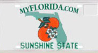 The Florida Pomegranate?
