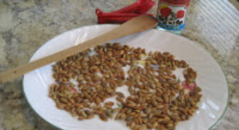 10-Minute Pumpkin Seed Brittle