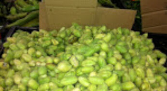 Food in the News: Chickpeas