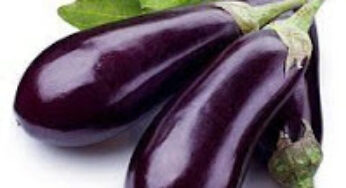 Grilled Eggplant and Chopped Salad with Lemon – Mint Dressing